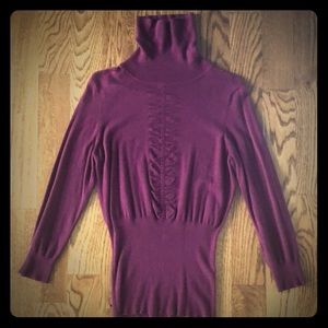 Express Turtleneck Sweater